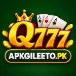 Q777 Game
